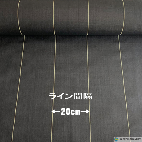 ライン間隔画像