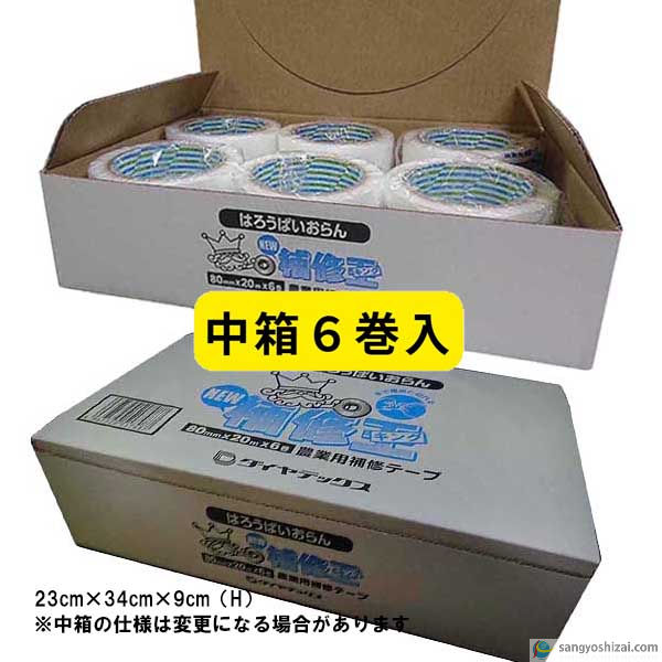 中箱画像2