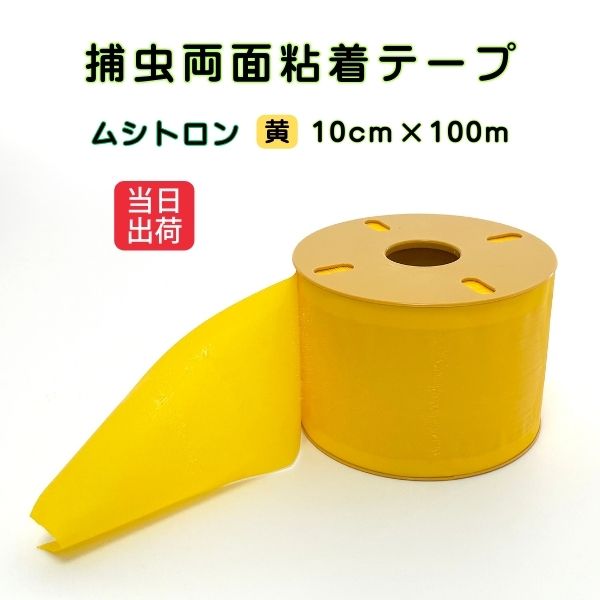 ヤフー楽天トップ画像