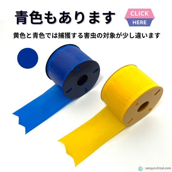 青色あります