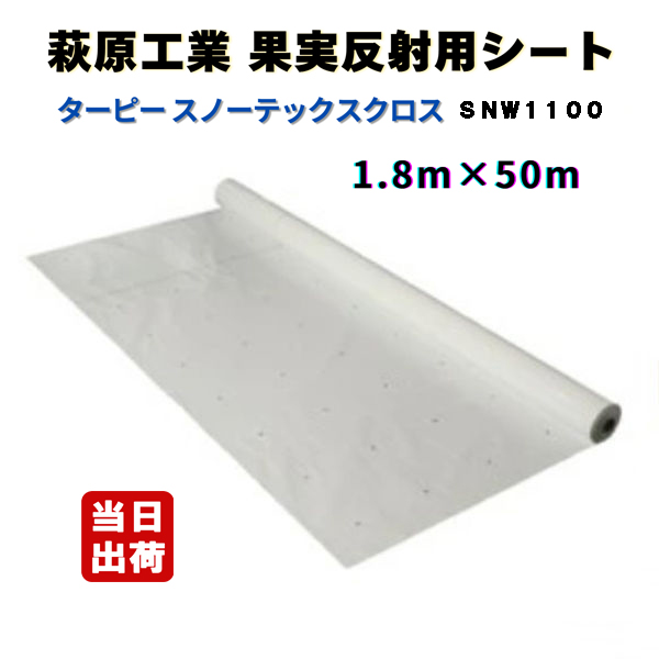 トップ画像