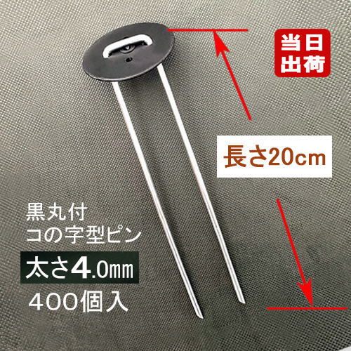 トップ画像