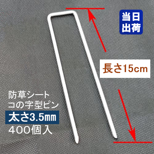 画像トップ