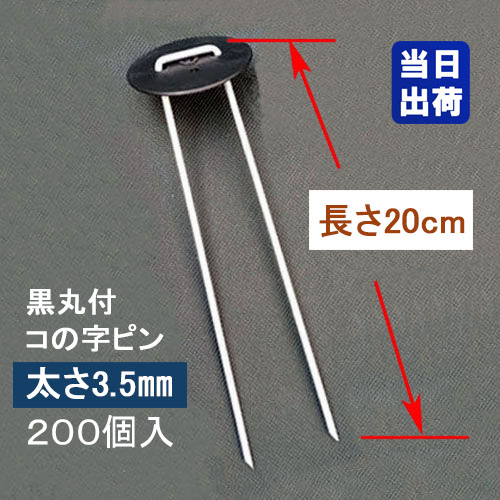 トップ画像
